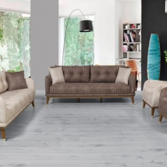 Salon & Koltuk Takımları